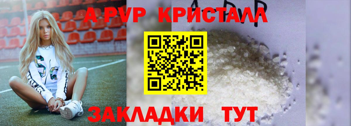 Альфа ПВП СК КРИС Новодвинск