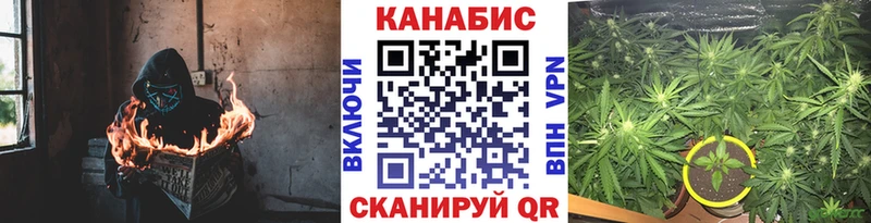 где купить наркоту Новодвинск Канабис MAZAR